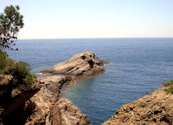 Ile Verte: Seynerolle