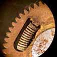 Roue dentée en laiton, avec des traces d'oxydation